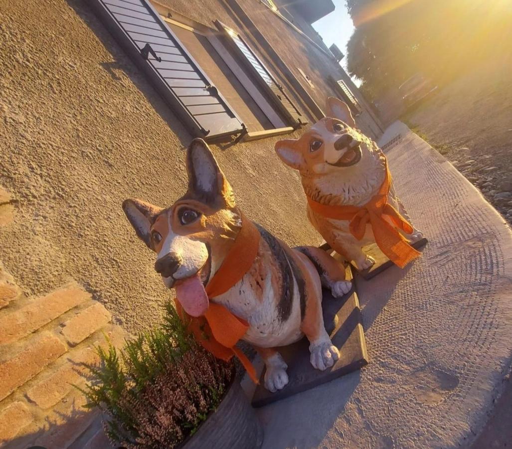 La Tana Dei Corgi Bed & Breakfast Moncrivello Dış mekan fotoğraf