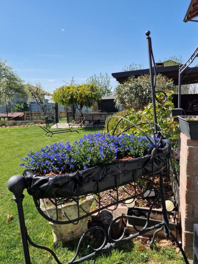 La Tana Dei Corgi Bed & Breakfast Moncrivello Dış mekan fotoğraf